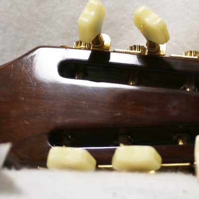 Infinity M-3 North African Mondol Acoustic Instrument Mandol Mandole image 6