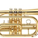 Yamaha YCR2330 III Cornet Outfit Gold Lacquer (Bb)