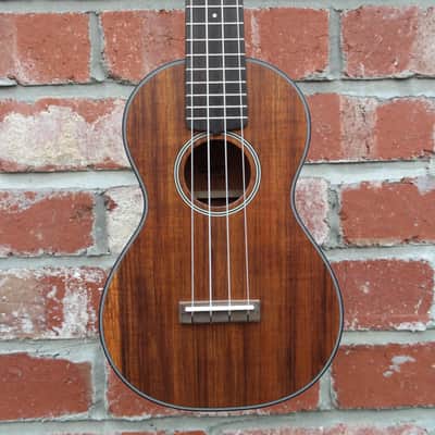 Cort UKE-BWC Blackwood Concert Ukulele