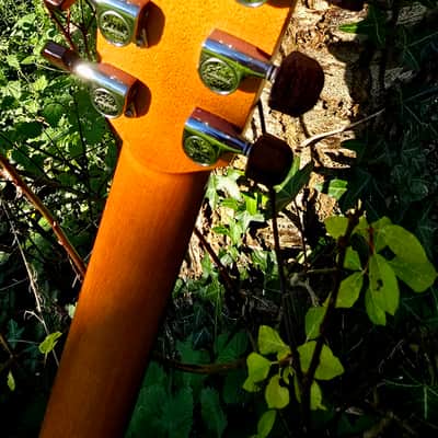 Lakewood Natural Series M-14 image 4