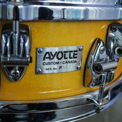 Ayotte 4" x 14" Maple 80's Ray Era image 6