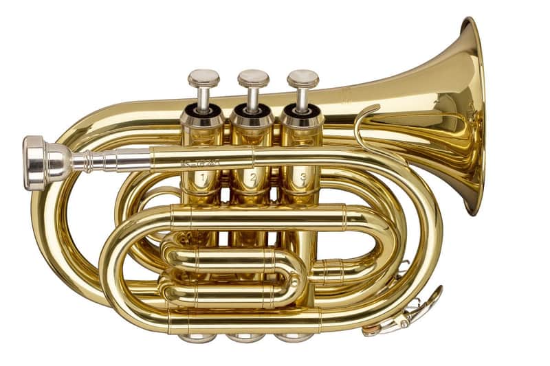 Stagg Bb Brass Pocket Trumpet w/ Gig Bag - WS-TR245S image 1