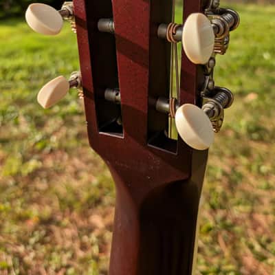 Santa Cruz OO Erik SKYE 2019 - Cocobolo image 15