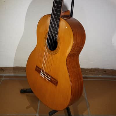 Vicente Sanchis (Luthier) 38 image 13