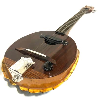 Turtle Shell acoustic/electric dulcimer guitar image 9