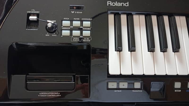 Roland Lucina AX-09 2018 - Black image 1
