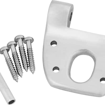Bigsby Extra Short Hinge, w/ Hinge Pin and Screws, Polished Chrome, 180-0041-006 image 1