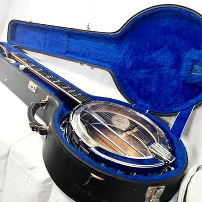 Washburn B18 5 String Resonator 1983 - Clear Gloss image 14