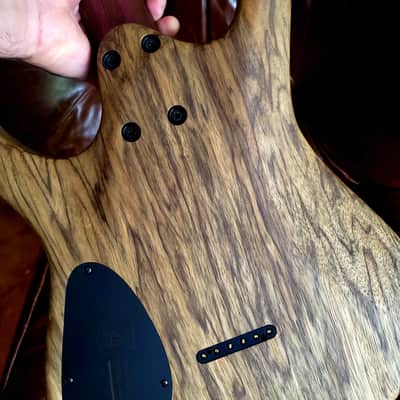 Mayones Duvell Elite 6 2026 Buckeye Burl Master Grade Top Black Limba Body Wenge Neck Ebony Fretboard 16" image 3