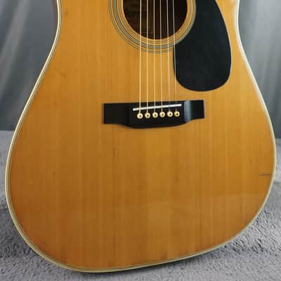 Morris W-18 Japan Acoustic Guitar | Reverb