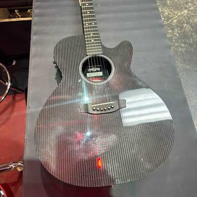 RAINSONG acoustic guitars for sale in USA | guitar-list