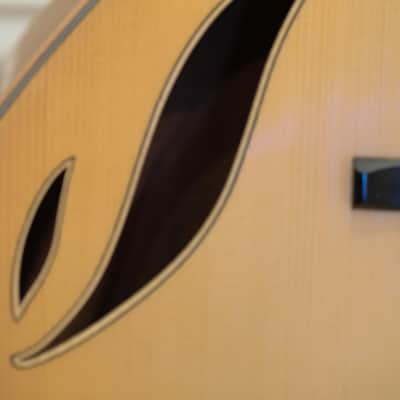 Grimes 35th Anniversary Archtop with 60's DeArmond 1100 Bild 7