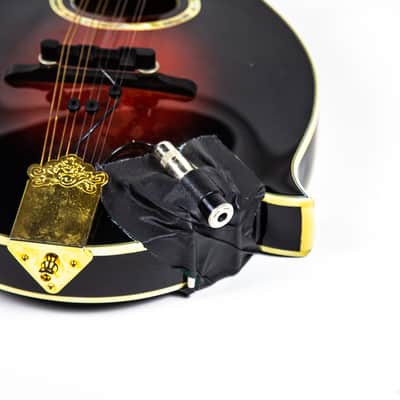 Michael Kelly F Style Mandolin Owned by Matt Freeman Of Rancid image 8