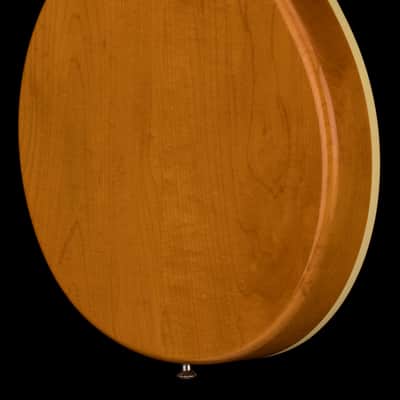 Hamer Custom Shop Newport Pro (2003) - Amber #52665 with Original Hard Case image 9