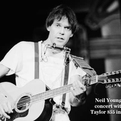 Taylor Model 855 12-String 1980 Natural image 12