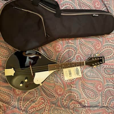 Levin electro acoustic LM60E-BK Modern  - Black gloss image 5