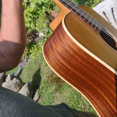 Hofner Dreadnought 1970's-80s - Natural mahogany image 5