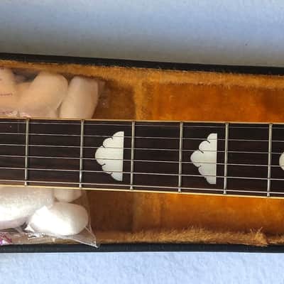 Fernandes MG Electric Guitar Luminous Amiba (アメーバ )Hide