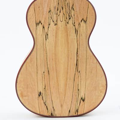 Cordoba 24T Tenor Spruce Ukuele image 4