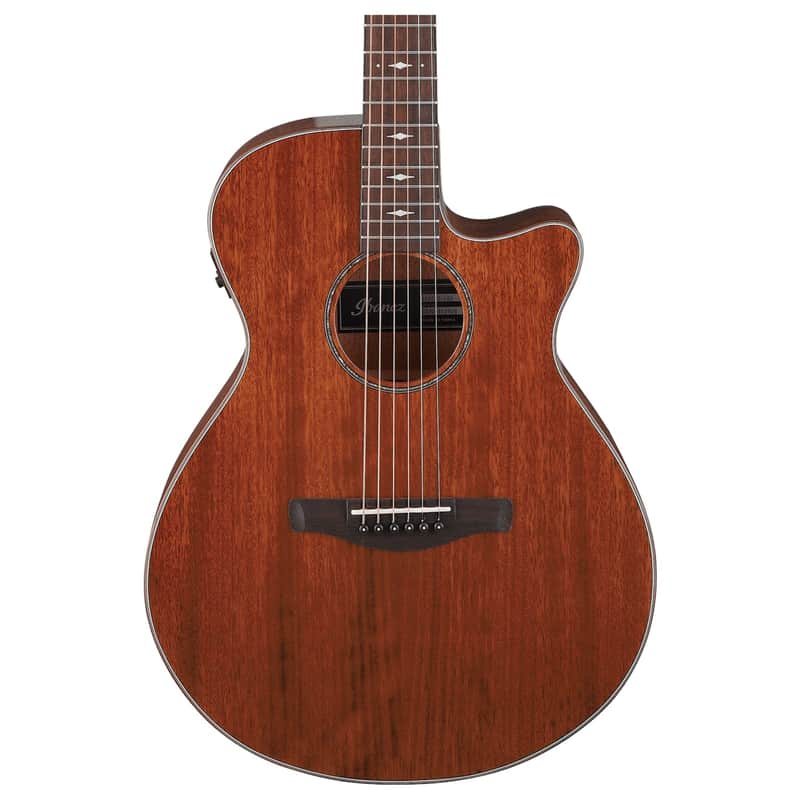 Ibanez AEG220 Grand Concert image 2
