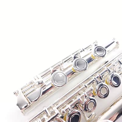 Di Zhao DZ 701 Flute Open Hole B Foot Split E Sterling Silver Pre-Pro NEW image 9