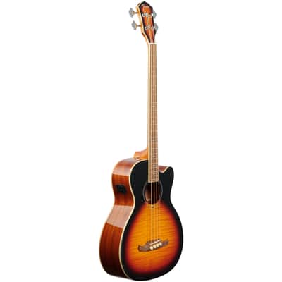 Fender FA450CE Acoustic-Electric Bass image 2