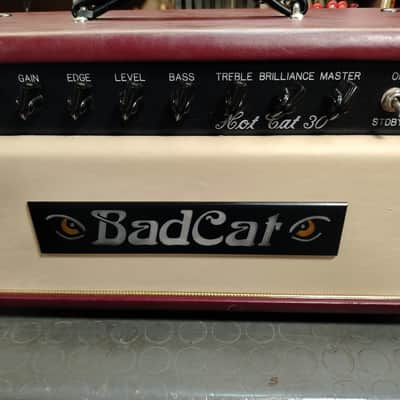 Bad Cat Hot Cat 30  2004 - Red/Cream Tolex image 2