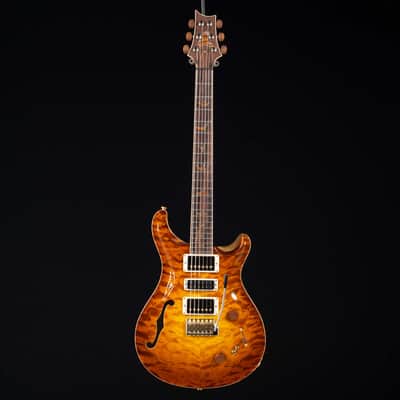 PRS Special 22 Semi-Hollow Private Stock | Reverb