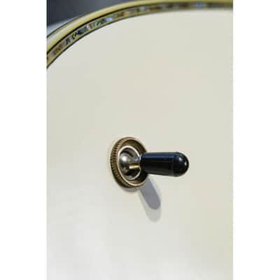 2009 Peerless Gigmaster Custom white image 12