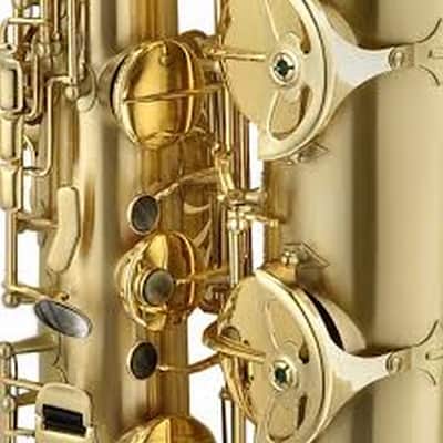 P. Mauriat LeBravo 200T Intermediate Tenor Sax Bronze Brass Clear Lacquer image 2