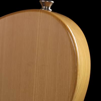 Fender Japan Thinline Telecaster Natural 1993-1994 image 17
