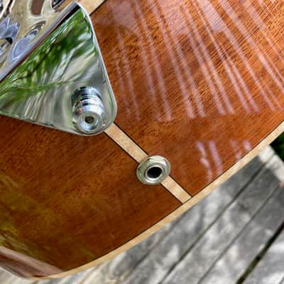 Beard Guitars A-Odyssey round neck resonator image 13