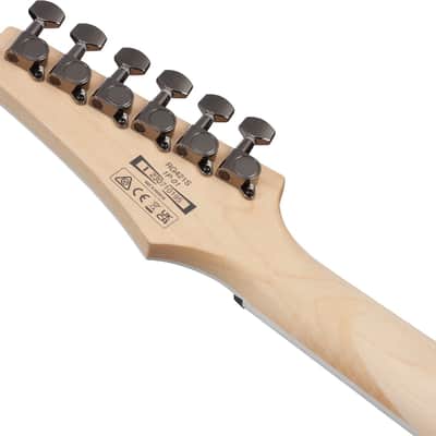 Ibanez RG421S Electric Guitar Sea Shore Matte image 9