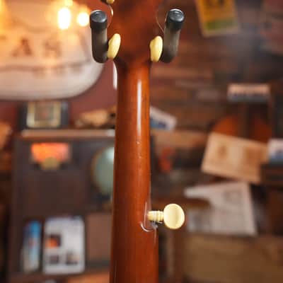 (Used) Vintage 1895 S.S. Stewart Banjeaurine 5-String Open-Back Banjo #5853 image 14