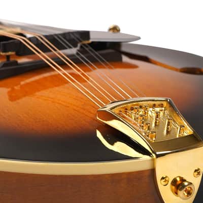 Gold Tone Mastertone™ GM-70+: F-Style Mandolin with Case image 8