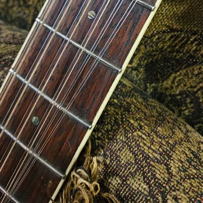 ESP LTD TL-12 Thinline Acoustic-Electric Guitar, 12-String image 11