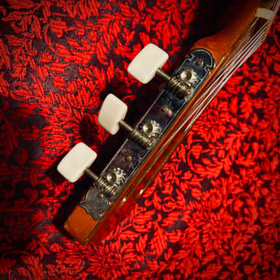 Vintage 1965 Giannini Model 6 image 8
