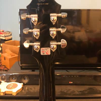 Epiphone DOT EB 335 Electric Guitar w/Hardshell Case. image 5