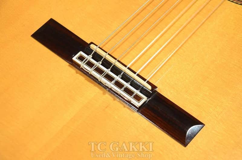 Takamine NPT 315 | Reverb