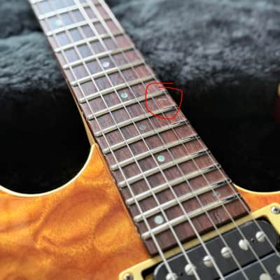 ESP Custom Shop Horizon-CTM 5A Quilt Maple Top (Takada Factory) image 11