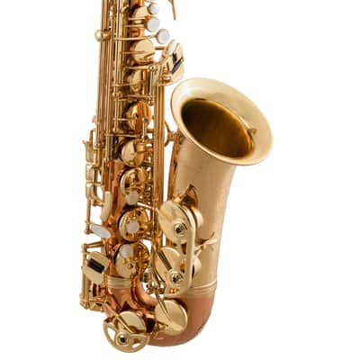 Selmer SAS511C Intermediate Eb Alto Saxophone Black Nickel Plated image 3