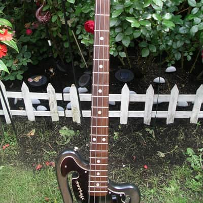 Ampeg AEB-1 Bass 1968 image 7