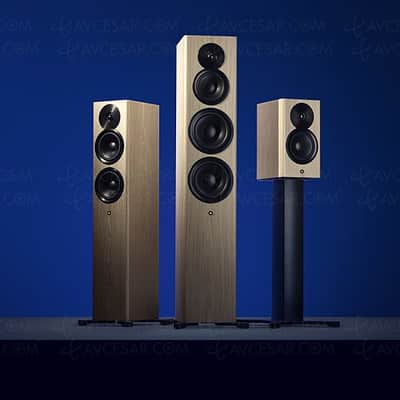 DYNAUDIO Focus 10 - Wireless Bookshelf Speakers (Pair) - NEW! image 10