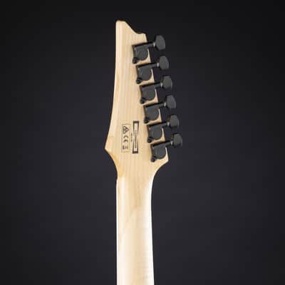 Ibanez GRG121DX-BKF Black Flat - Electric Guitar image 4