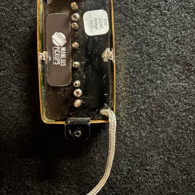 Manlius Fat Goat Bridge 2023 - Worn Gold image 2