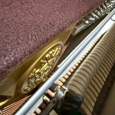 Kawai CX5 - Walnut satin image 5