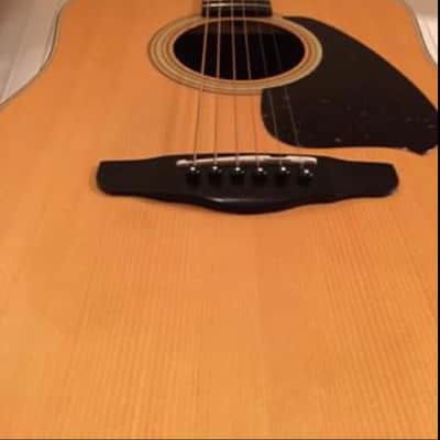 Ibanez V-300  1980 NAT image 1
