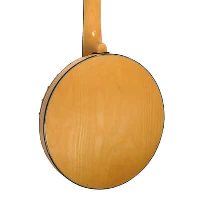 Gold Tone GT-500 Professional Maple Neck 6-String Banjitar with Pickup & Volume Control image 2