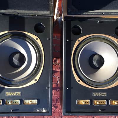 Tannoy SGM-15 1992 Black imagen 1