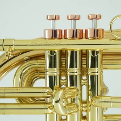 Carol Brass Compact Flugelhorn / Taylor Phat Puppy - Polished / Lacquered image 4